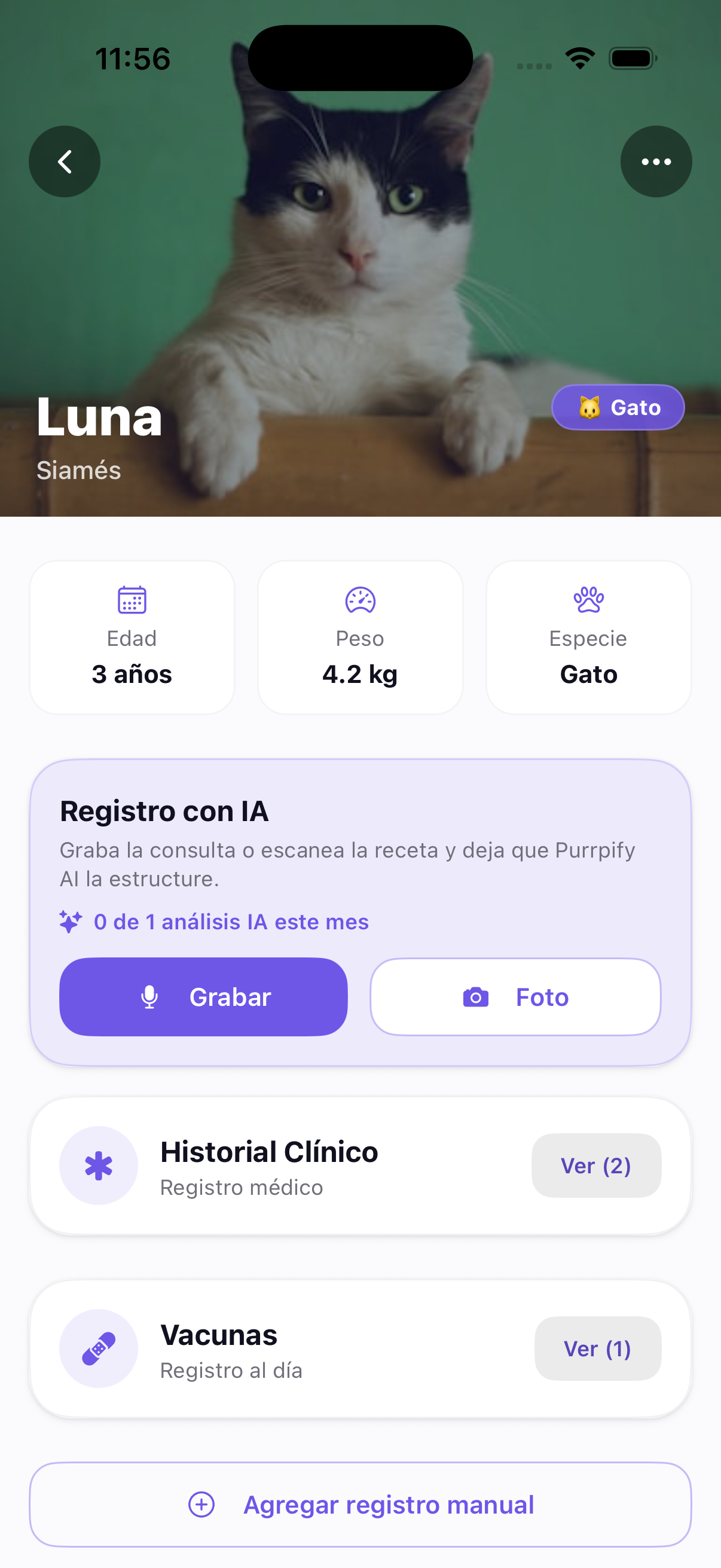Captura de pantalla de Purrpify — Ficha